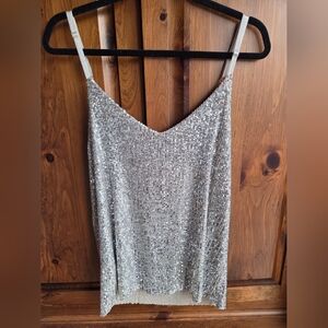 Elegant Silver Sequin Dress